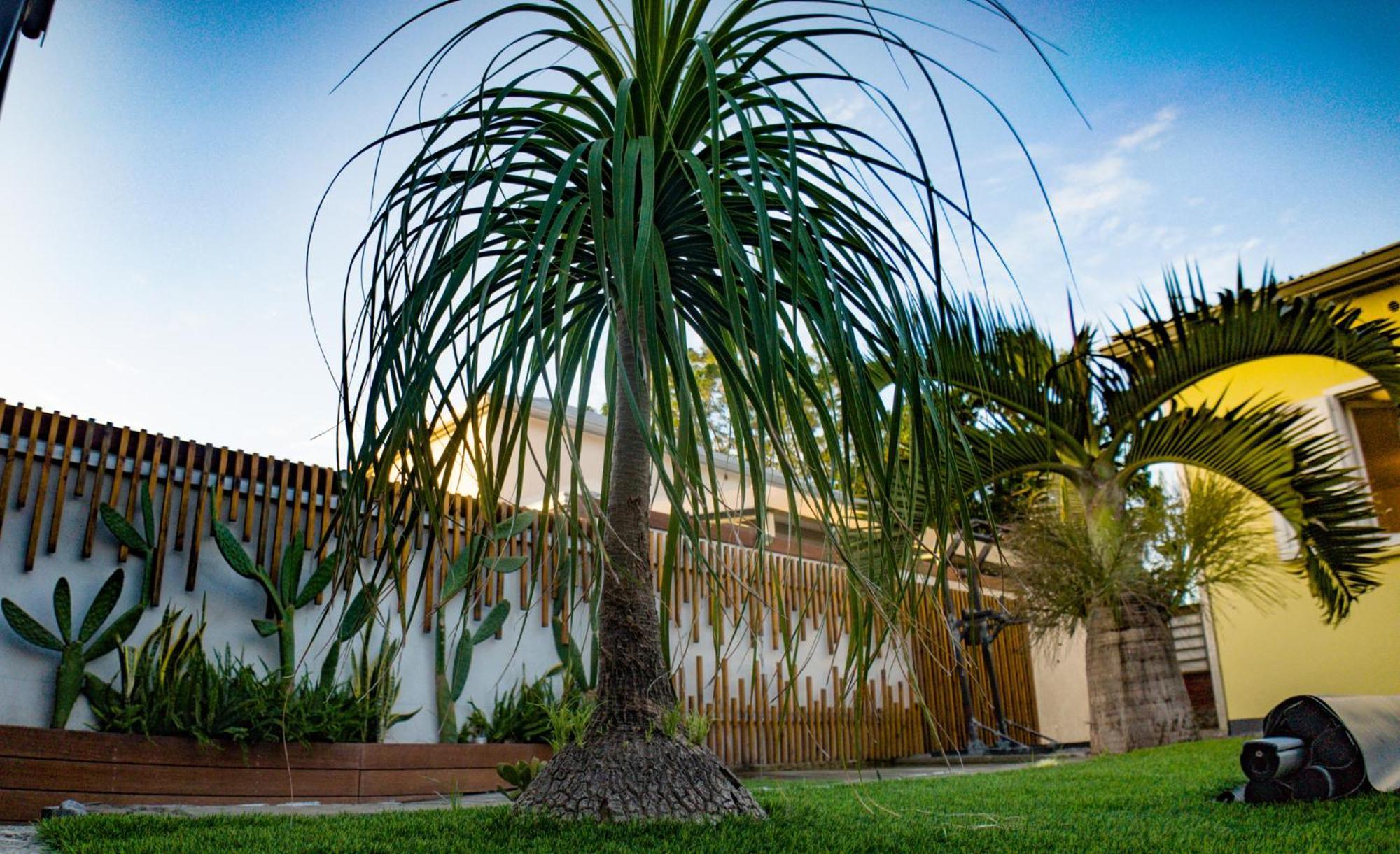 Villa Osao Panahy Le Patelin Exterior foto